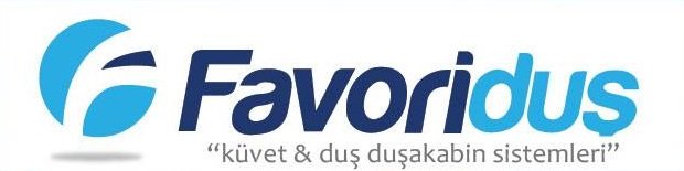 Kurumsal Duşakabin Firması Web Site Paketi